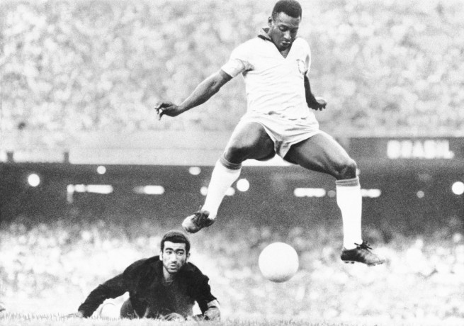 PELE1672370489