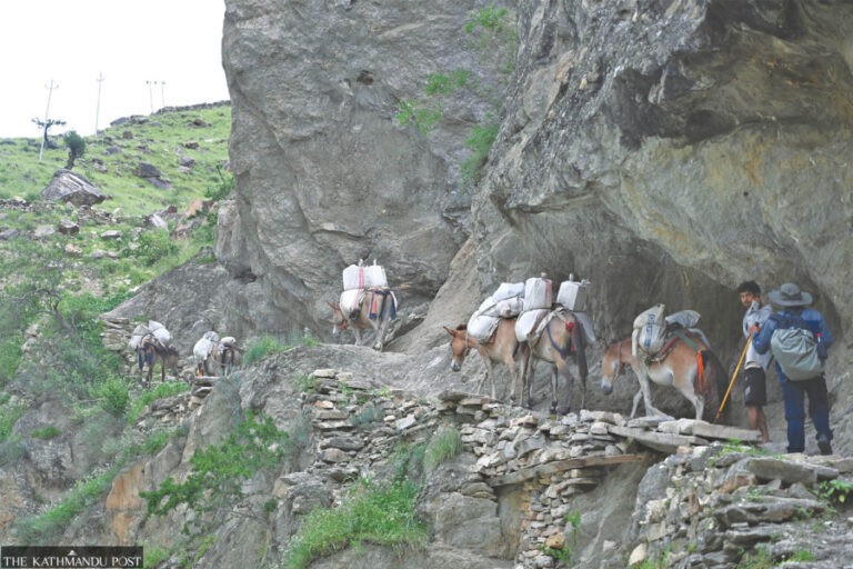 Himalayan districts