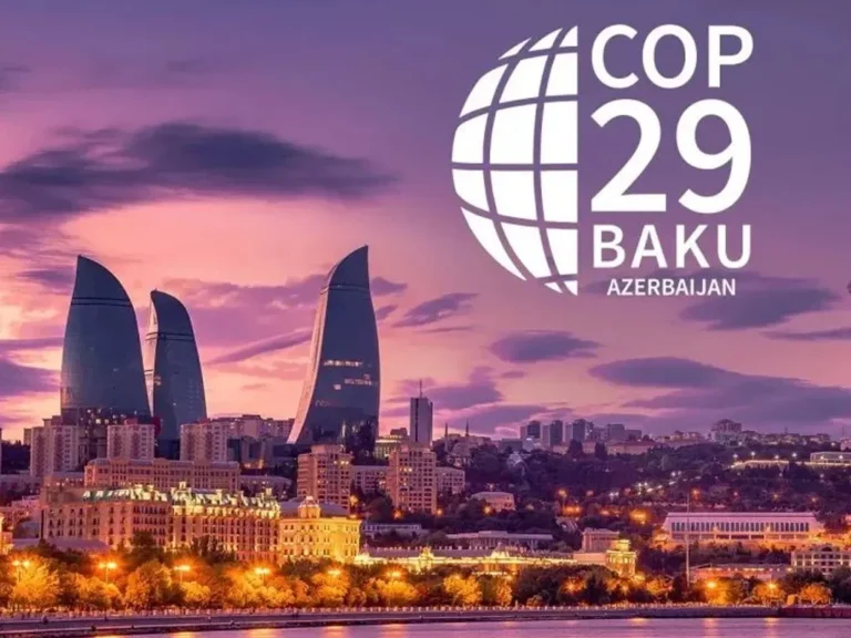 COP-29
