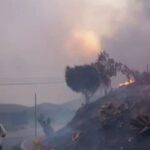 Los Angeles Dadhelo: Five dead, more than 1,500 homes damaged
