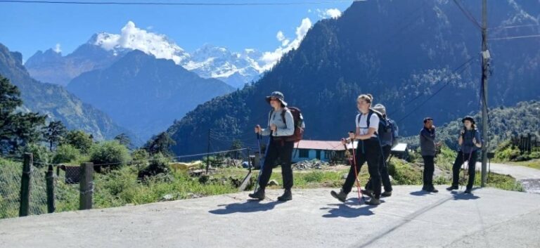 traveler entries in Annapurna Locale in 2024
