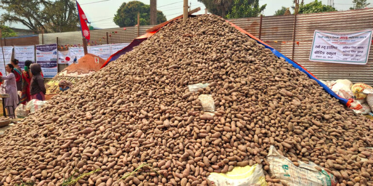 potatoes